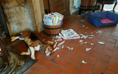 Les dommages colatéraux